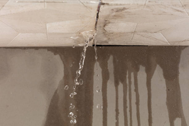 Professional Burst Pipe Cleanup technician working in Pine Valley, UT